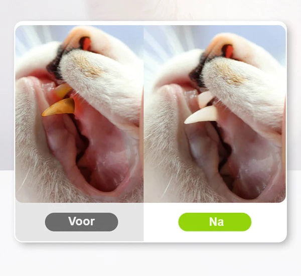 KittyBliss™ | Voor gezonde nagels zonder knippen