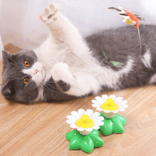 FurryFlutter™ | Interactief Katten Speeltje