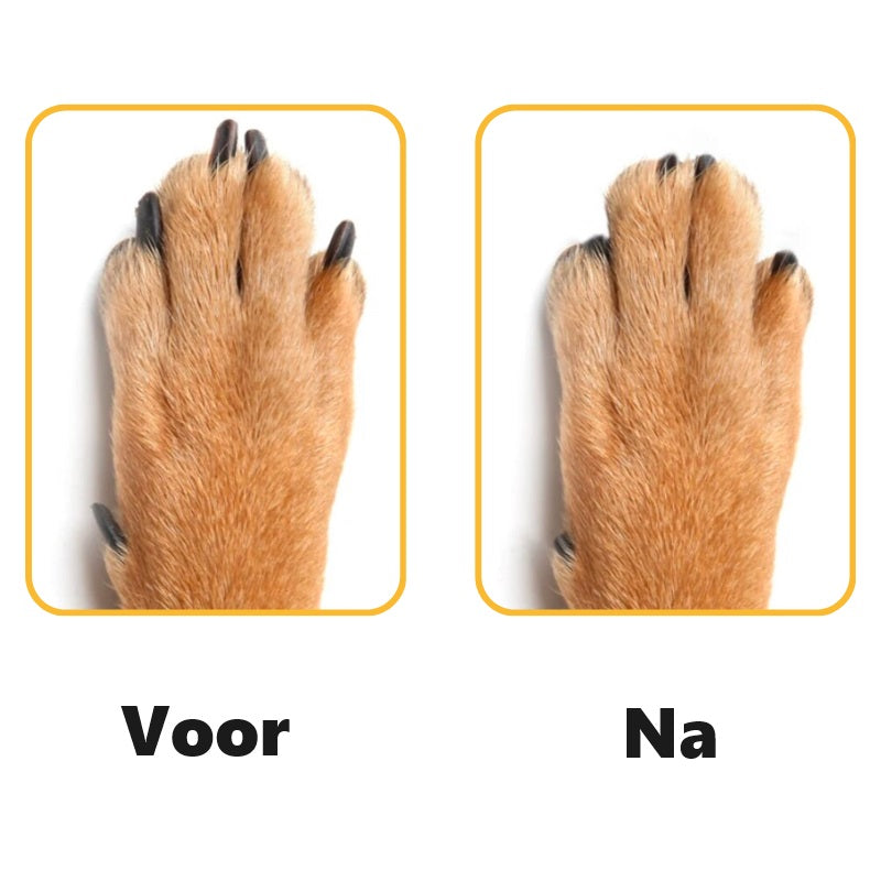 Nailscape™ | Voorkom Meubelschade en Houd Nagels Gezond