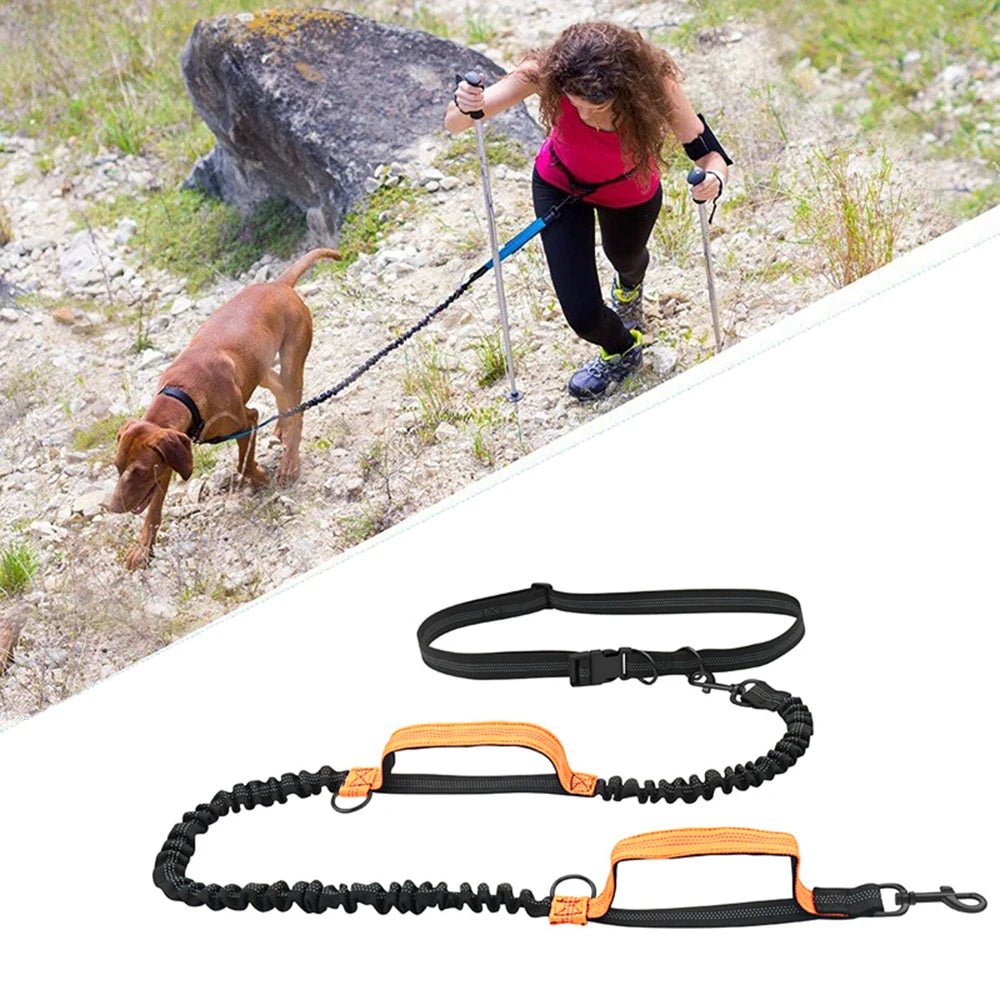 WalkWag™ | Geniet van moeiteloze wandelingen