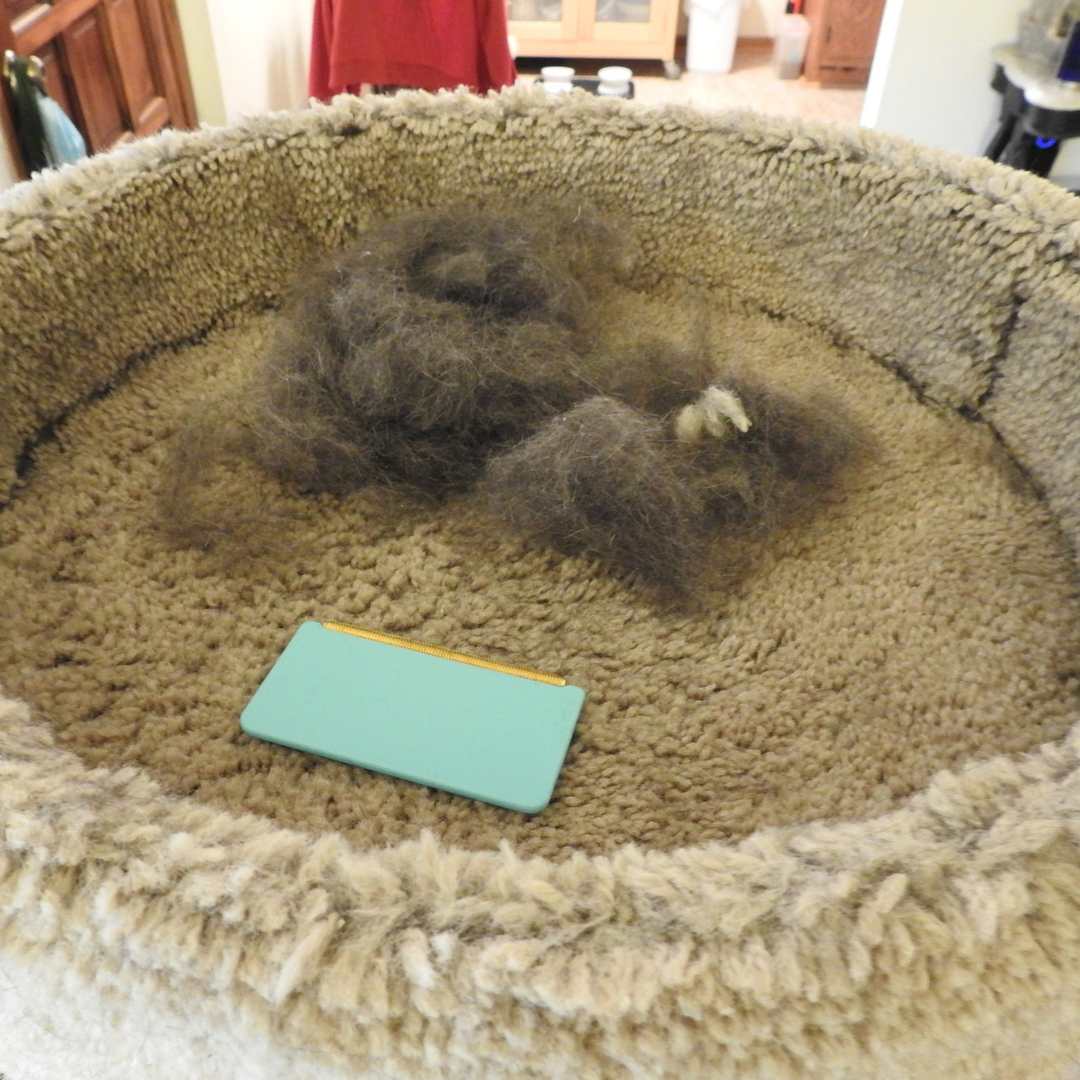 PurrClean™ | Geniet van een haarvrij huis!
