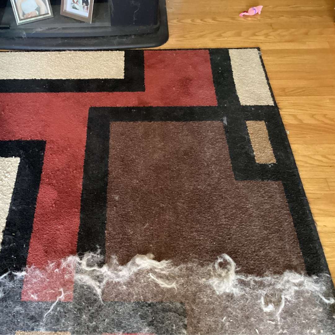PurrClean™ | Geniet van een haarvrij huis!