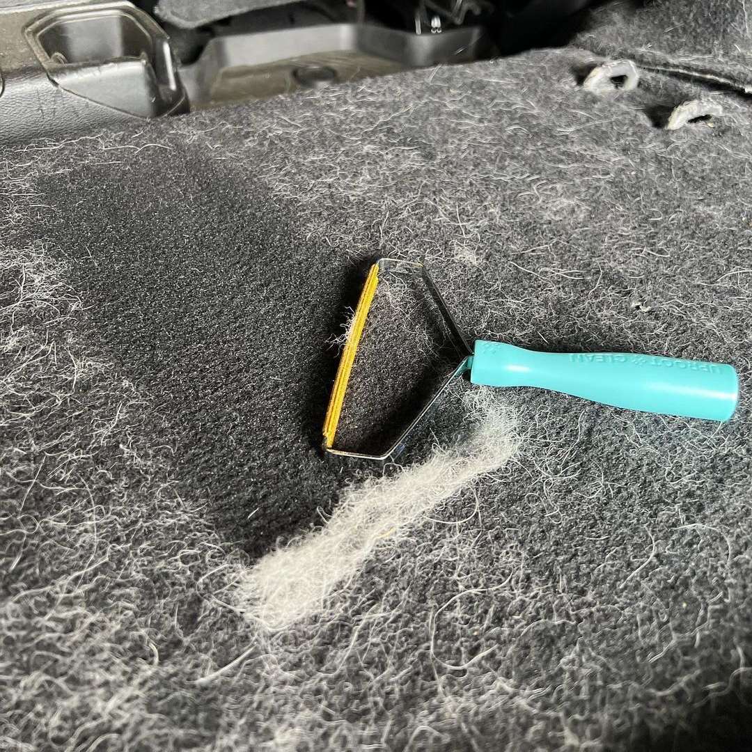PurrClean™ | Geniet van een haarvrij huis!