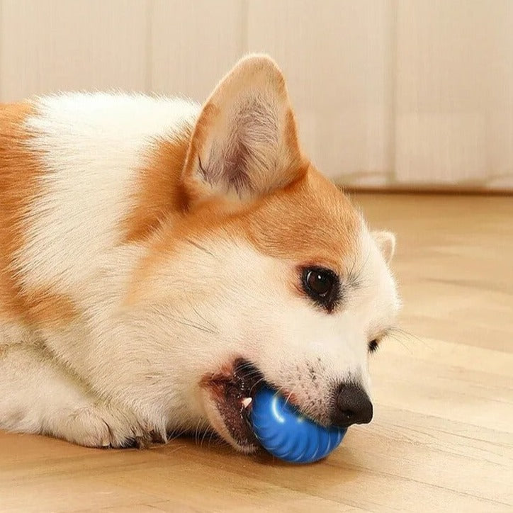 Furbounce™ | Voorkom Verveling en Schade Aan Meubels
