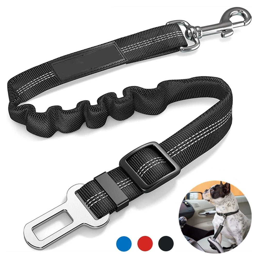 PetGuard Belt™ | Reis Veilig met Jouw Hond