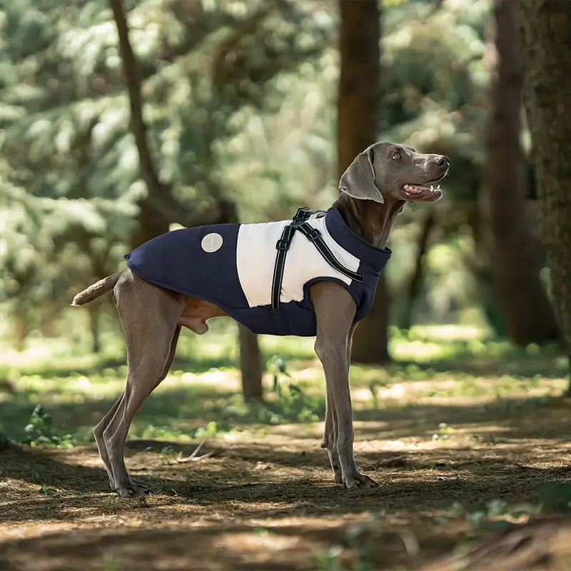 SnugPaw™ | Warme en Waterdichte Hondenjas