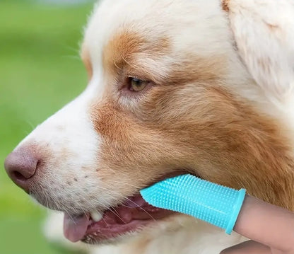 WoofWiper™ | Frisse Adem en Tandverzorging