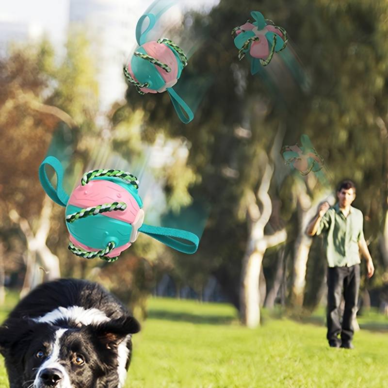 ChewTech™ | 3-in-1 Hondenbal