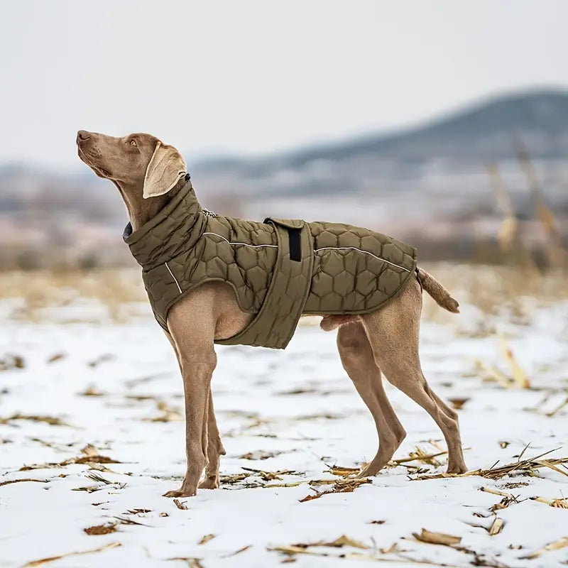 Pawsy™ | Warme en waterdichte hondenjas