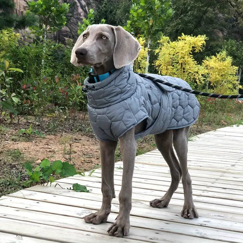 Pawsy™ | Warme en waterdichte hondenjas