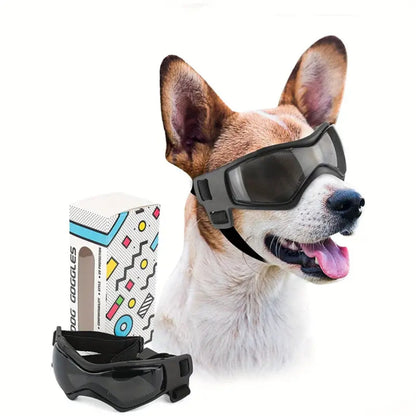 PupVisor™ | Trendy UV-Hondenbril