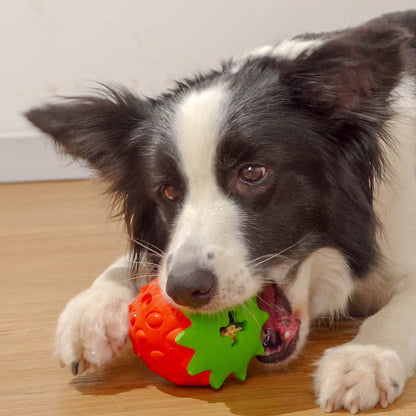 WoofBerry™ | Voor Frisse Adem en Gezonde Tanden