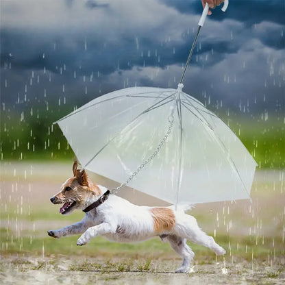 PawRain™ | Voorkom natte hond en behoud geurvrije vacht