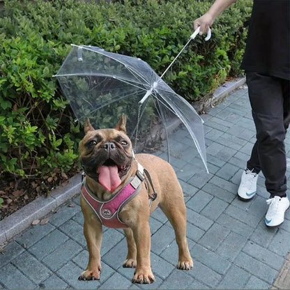 PawRain™ | Voorkom natte hond en behoud geurvrije vacht
