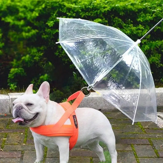 PawRain™ | Voorkom natte hond en behoud geurvrije vacht