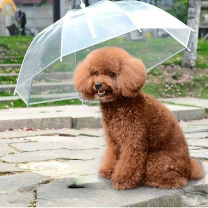PawRain™ | Voorkom natte hond en behoud geurvrije vacht
