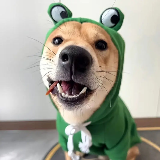 Froggy Warme hoodie tegen kou en irriterende vacht