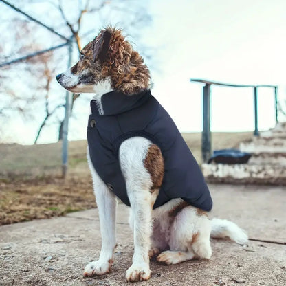 Barko™ | Nooit meer rillen van de kou