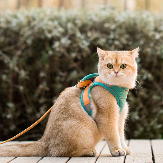 MeowStep™ | Kattenharnas