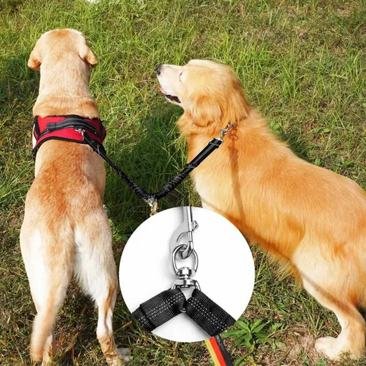 TwinPaws™ | Hondenriem Splitter Voor 2 Honden