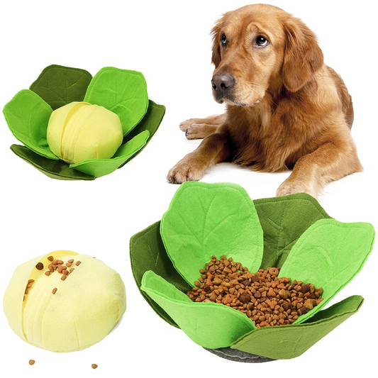 FuzzyKool™ | Perfect voor Spel en Verkenning
