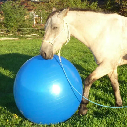 PonyPal™ | Verminder Verveling en Versterk Kracht