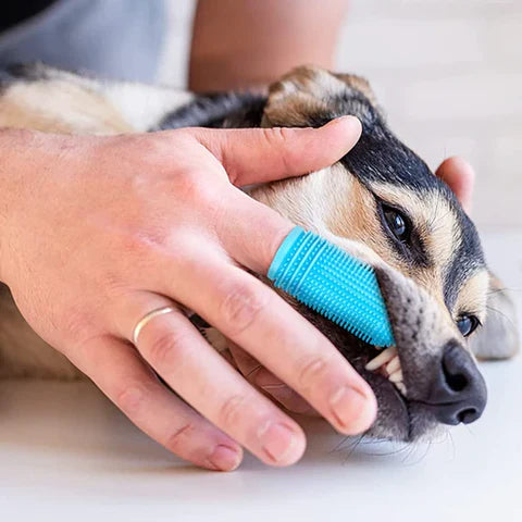 WoofWiper™ | Frisse Adem en Tandverzorging