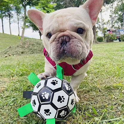 FlapFetch™ | Maakt Honden Blij en Actief