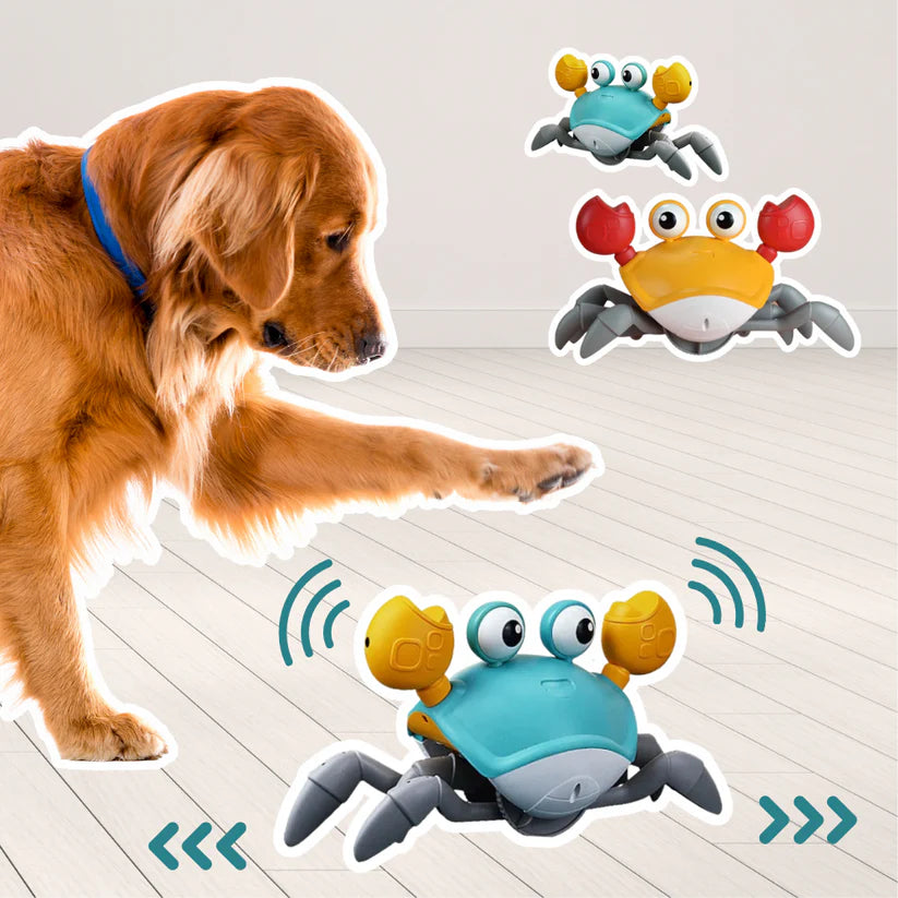 SnapCrab™ | Verhoogt Plezier en Beweging