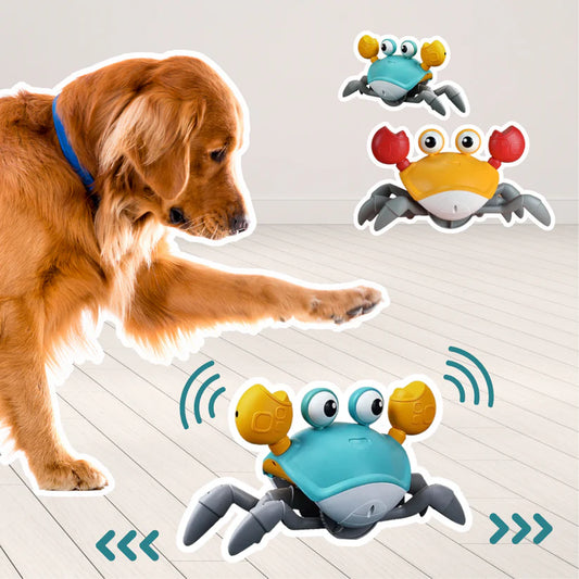SnapCrab™ | Verhoogt Plezier en Beweging