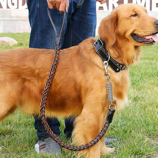 DogsGrip™ | Sterke Leer Riem voor Betrouwbare Controle