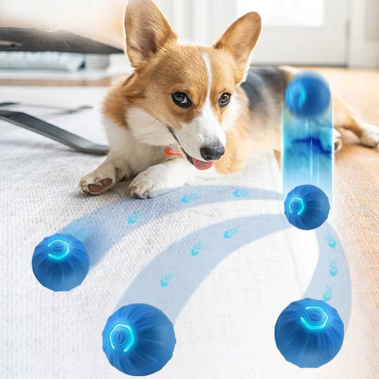 Furbounce™ | Voorkom Verveling en Schade Aan Meubels