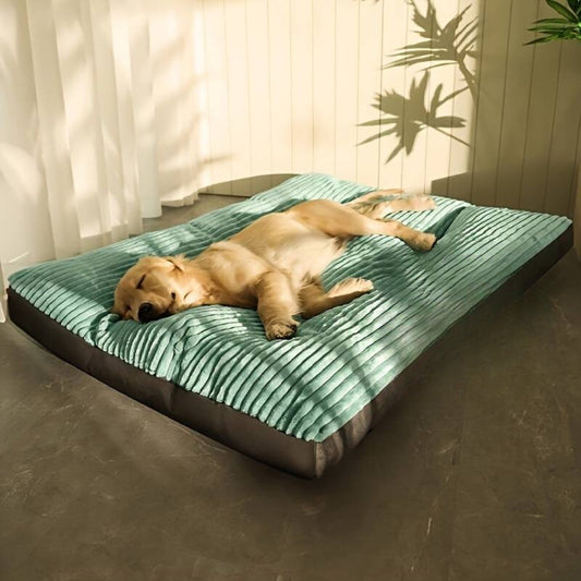 FluffyNest™ | Het Hele Jaar Comfortabel