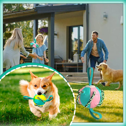 ChewTech™ | 3-in-1 Hondenbal