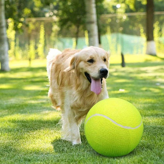 BarkBounce™ | Avontuurlijk Speelplezier