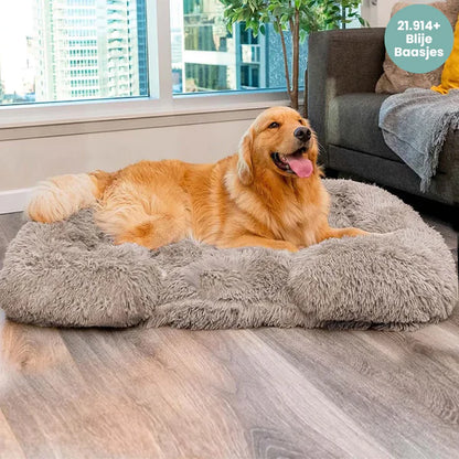 WoofHaven™ | Kalmerend Bed (Memory Foam)