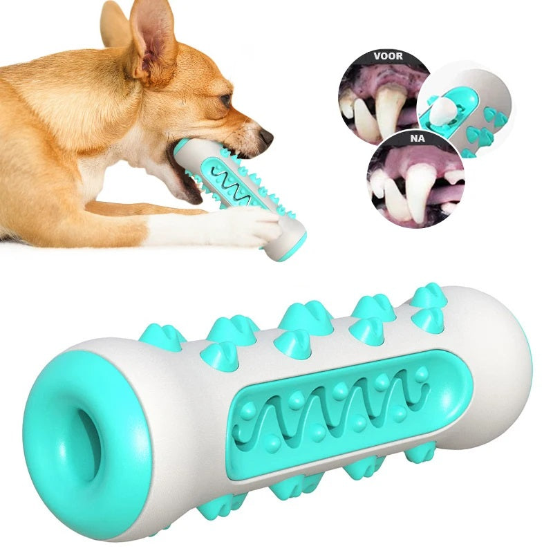 BrushBuddy™ | Gezond Gebit voor Jouw Hond