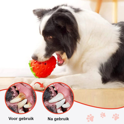WoofBerry™ | Voor Frisse Adem en Gezonde Tanden