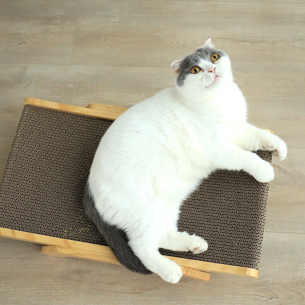 ClawCozy™ | Krabpaal en bed voor katten
