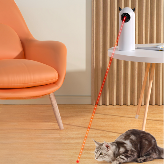 FeliFun™ | Waar plezier en gezondheid samenkomen