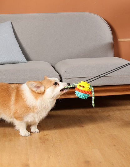 Clawzy™ | Voor Actieve Huisdieren
