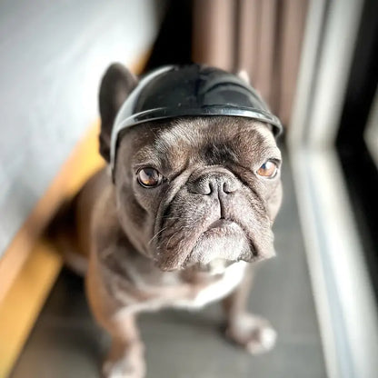 FurrBiker™ | Inclusief Gratis Beschermende Bril (t.w.v. €19.95)