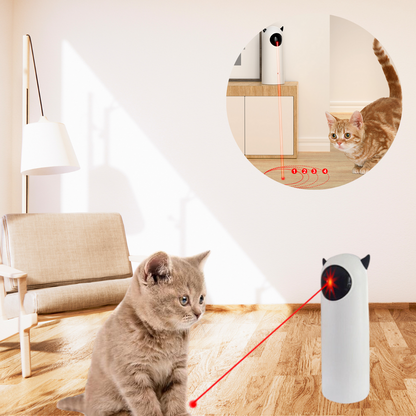 FeliFun™ | Waar plezier en gezondheid samenkomen