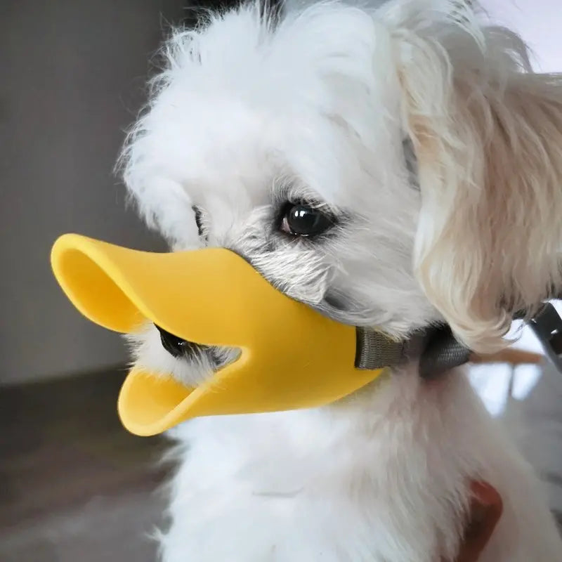 QuackSafe™ | Muilkorf met Verstelbare Riemen