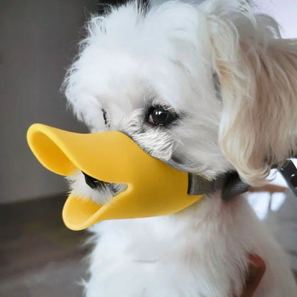 QuackSafe™ | Muilkorf met Verstelbare Riemen