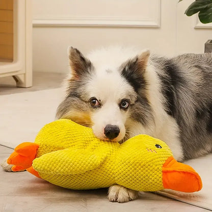 DuckyDazzle™ | Voorkom Verveling en Angst bij Alleen Thuis