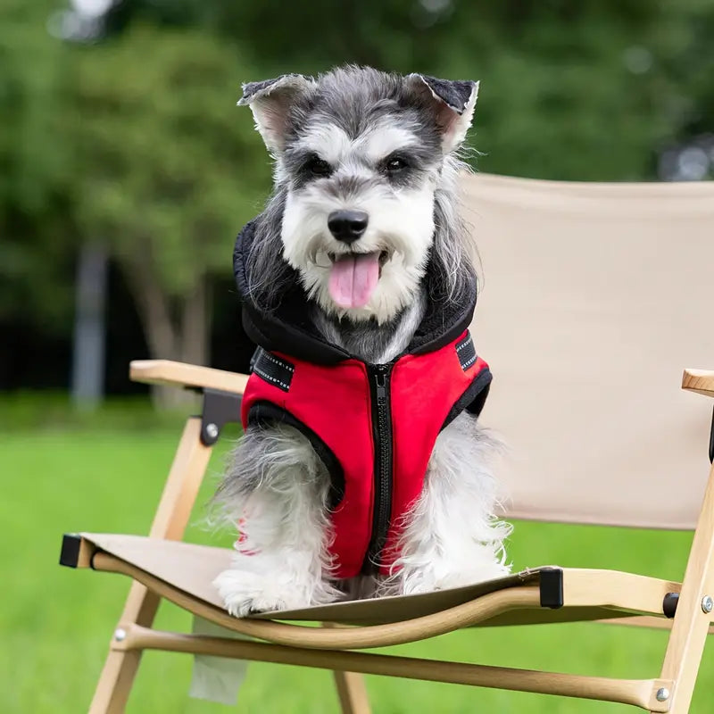 WinterPaw™ | Warme hondenjas met geïntegreerd harnas