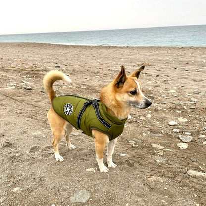 PawsDry™ | Houd Je Hond Warm en Droog