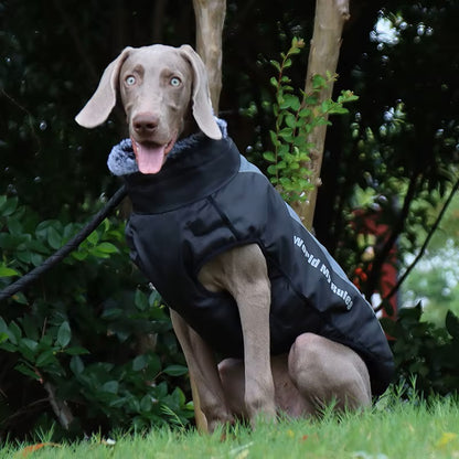 CloudTail™ | Warme Hondenjas met Reflectie