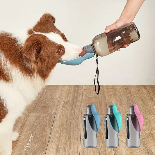 QuikSip™ | Altijd Vers Water voor je Hond